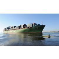 4726 Riesenschiff XIN SHANGHAI und Kanu auf der Elbe | Bilder von Schiffen im Hafen Hamburg und auf der Elbe